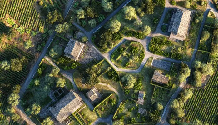 Le foncier viticole : comment le protéger et le transmettre dans la durée ?